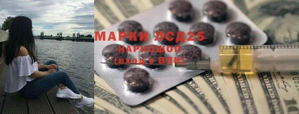 ПСИЛОЦИБИНОВЫЕ ГРИБЫ Белокуриха