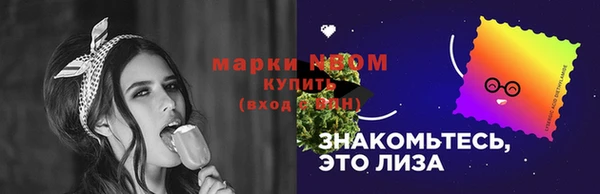 spice Снежногорск