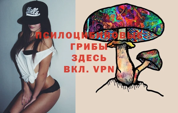 ПСИЛОЦИБИНОВЫЕ ГРИБЫ Белокуриха