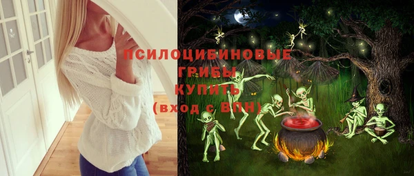 ПСИЛОЦИБИНОВЫЕ ГРИБЫ Белокуриха