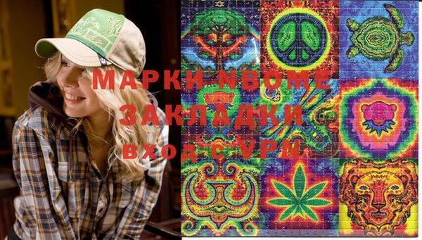 ПСИЛОЦИБИНОВЫЕ ГРИБЫ Белокуриха