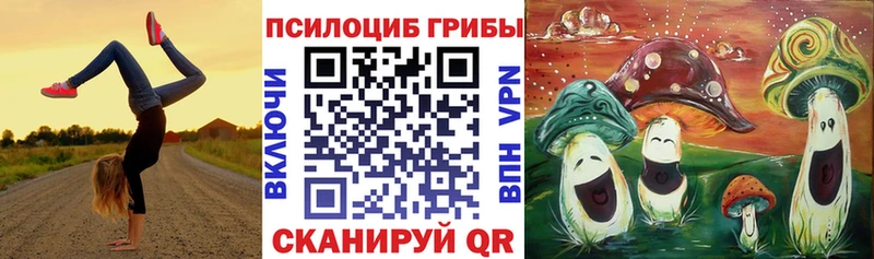 Галлюциногенные грибы Psilocybe  мега рабочий сайт  Курильск 