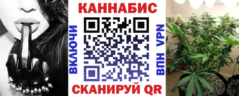как найти Курильск Конопля ГИДРОПОН